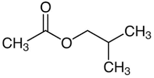 ساختار مولکولی ایزوبوتیل استات